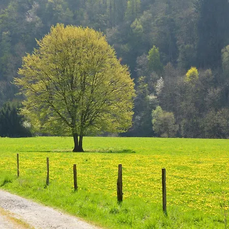 Semesterbostad Near The Forest In