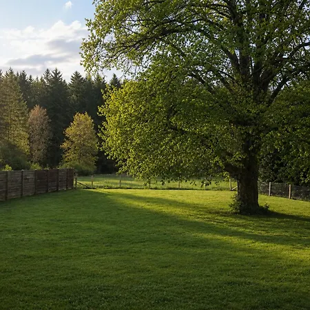 Ardennes Escape House For 12 People With Sauna, Billiards & Garden *